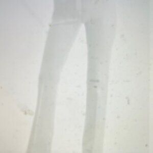 Rekucci Womens Ease Into Comfort White Boot Cut Pants 8